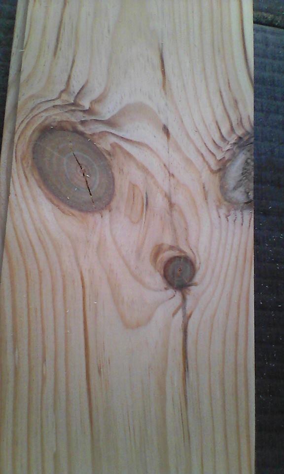 10686727_1019717554756564_6424705051083932438_n