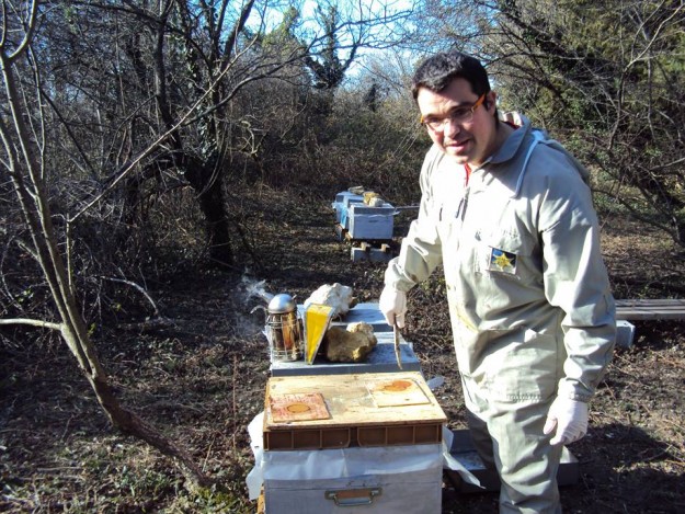 10986665_853711634690491_3348347152940379477_n Ruches