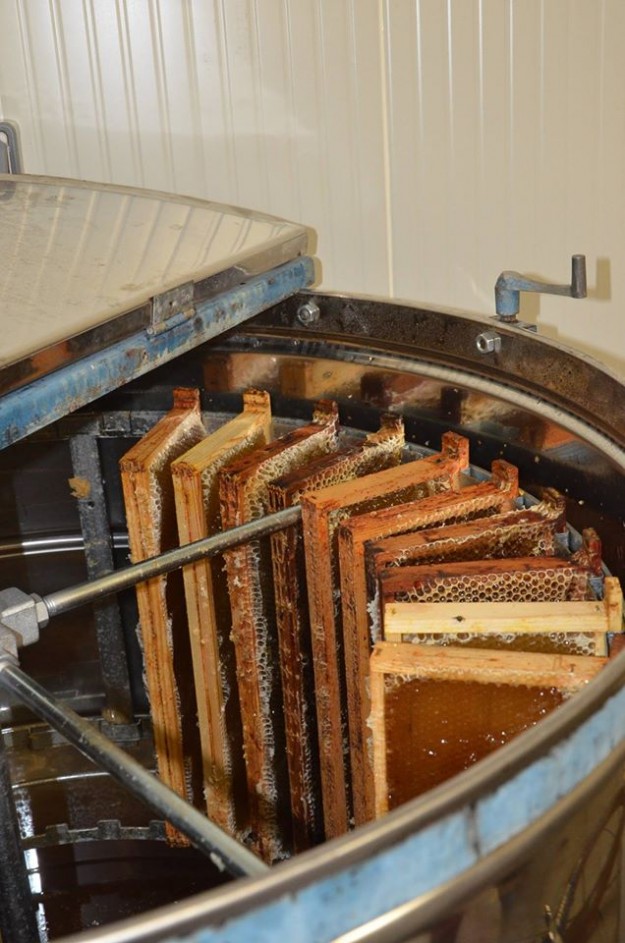 11816219_917388291656158_3072626767393867801_o