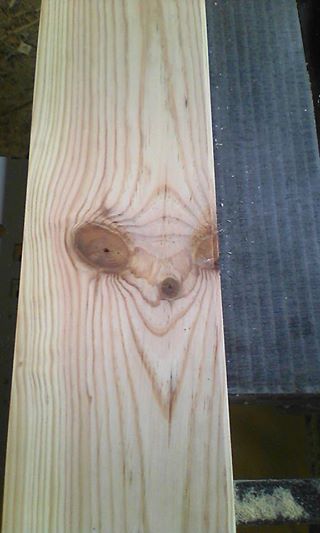 12742679_1019717528089900_3233894053843065301_n