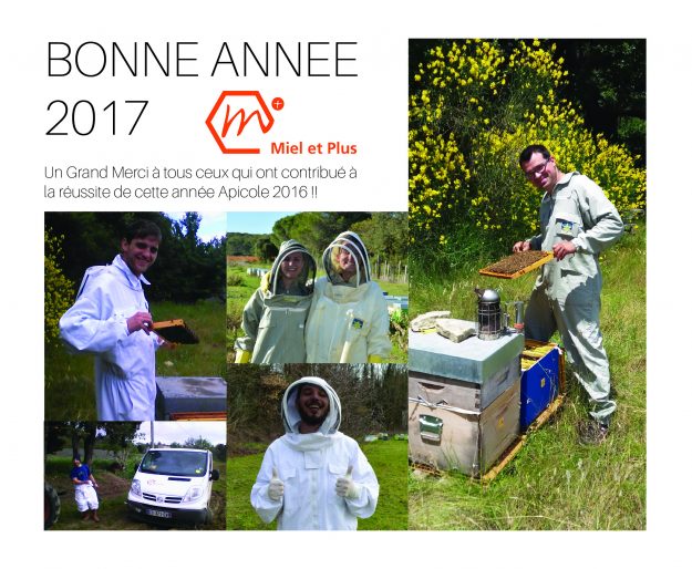 carte-de-voeux-2017