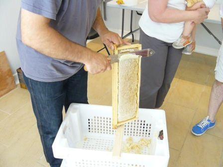 Extraction du miel. Miel et Plus Lyon – F.GUILLAUD 2